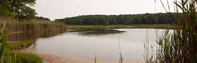 Though the name of the park sounds a lil' on the. Rocky Neck State Park Campground Rocky Neck Ct 4 Photos