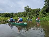 Summer Wildflowers Canoe
