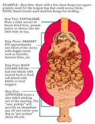 Diagram Of A Well Stuffed Kong Toy Along With Some Filling Ideas Kong Hundespielzeug Hunde Ernahrung Hunde Leckerli Rezepte