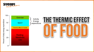 Maybe you would like to learn more about one of these? The Thermic Effect Of Food Tef Storm Fitness Academy Youtube