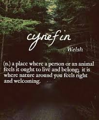 Sanctuary Unusual Words Uncommon Words Rare Words