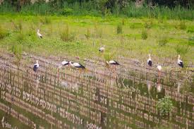 Alycia Debnam-Carey Sexy Leak - Scandalous Pics - See What They Hid - Limited Time