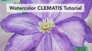 We did not find results for: How To Draw And Paint A Clematis In Watercolor Beginner Tutorial And How To Use Masking Fluid Youtube