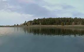 Campsites are well spaced and most have some shade. Big Lake In Az Boating Camping Fishing Info