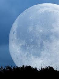 A preview of the last supermoon of 2020 filled the sky last night. Flower Moon Last Supermoon Of 2020 To Peak This Week Kutv