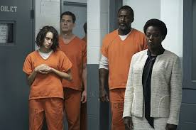 Image result for Disa walleri