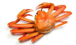Sea animals are animals that live in the salt water of the sea or ocean. 10 Different Types Of Crabs Nayturr
