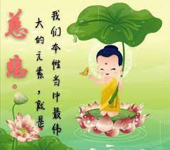 pin by 张小瑞on 佛言禅语 meaningful quotes buddha quotes mario characters