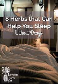 Pin On Herbs