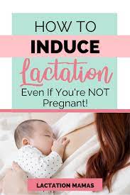 How Do You Induce Lactation If You Re Not Pregnant Lactation Mamas Induced Lactation Lactation Newborn Baby Breastfeeding