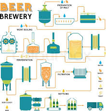 Brewing Beer Production Process Online Biology Notes