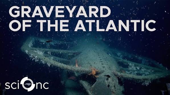 NC’s coast is full of thousands of shipwrecks from Currituck to Bogue  Banks, hence its nickname “The Graveyard of the Atlantic.” But researchers  have discovered that many fish species are thriving ...