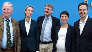 Welt newspaper, for instance, published a 2013 memo. Nazi Slut Joke Against German Right Wing Afd Candidate Alice Weidel Free Speech Judges Rule