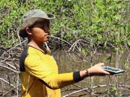 Yuk, kita simak beberapa pertanyaan yang muncul beserta jawabannya. Belajar Literasi Stok Karbon Instalasi Rset Identifikasi Dan Herbivori Mangrove Di Kesemathursday Kesemat