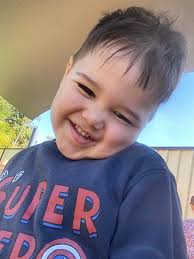 Seeking an onsite babysitter to help care for 2 kids during our wedding  reception in RC (July 26). A 1 year old and a 1.5 year old. Please PM if  you or