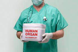 Read more about what some of the biggest religions in the world say about organ donation here. We Need More Organ Donors In Malaysia News Rojak Daily