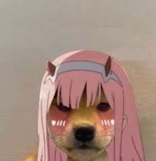 Feb 03, 2021 · discord profile picture and server icon maker woodpunch s graphics shop but your profile picture (also known as pfp or avatar) has to remain the same in all servers, even if you're an admin. Dog Pfp Match W Me Dank Memes Amino