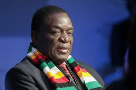 Zimbabwe Says Tweet About Palace Coup Talk Was Fake