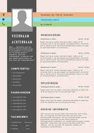 Dtp Cv Template S Gratis Motivatiebrief