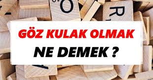 Goz Kulak Olmak Ne Demek Goz Kulak Olmak Tdk Sozluk Anlami Tdk Anlami Haberleri