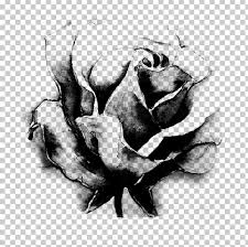 Download free black and white flower png clipart and png transparent background for web, blog, projects, school, powerpoint. Black And White Black Rose Garden Roses Flower Png Clipart Artwork Black Black And White Black