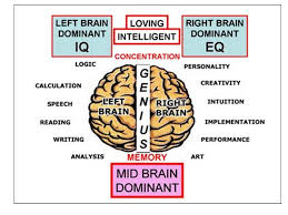 Fungsi otak kanan dan kiri pada anak biology co id perbedaan fungsi otak kanan dan otak kiri manusia. Otak Kiri Versus Otak Kanan Ppt Download