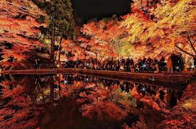 この秋 見たい 絶景すぎる 逆さ紅葉 21選 全国 じゃらんニュース