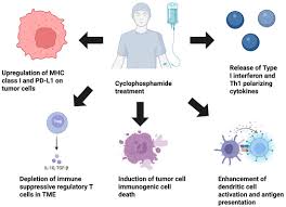 Image result for Cyclophosphamide