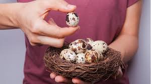 Cate calorii are un ou? Cate Calorii Are Un Ou De GÄinÄ PrepeliÈÄ RaÈÄ CurcÄ Èi GascÄ