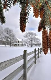 K�� - Kar Wallpaper