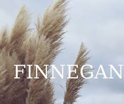 Finnegan Baby Names Boy Names Puppy Friends