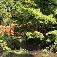 Abbotsbury Subtropical Gardens On Dorset S South Coast Japanese Garden Diy Garden Japanese Garden Design