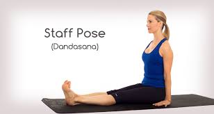 Yoga Poses Staff Pose Dandasana Workout Trends Fitness Trends Poses Yoga Poses