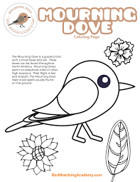 Maybe you would like to learn more about one of these? Mourning Dove Coloring Page Bird Watching Academy