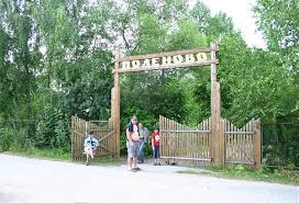 Detskij Letnij Lager Respublika Polenovo