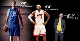 Discover the regular season nba player stat leaders for scoring per game with realgm.com's nba league leaderboard. Top 10 All Time Tallest Nba Players Sports Show