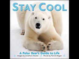 Quotes About Stay Cool 68 Quotes