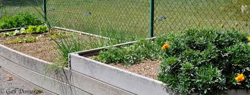 Apr 11, 2021 · this raised bed vegetable garden fence is an easy one day project that will help keep unwanted visitors out of your vegetable garden. A Guide To Raised Bed Gardening Countryside