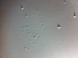 Maybe you would like to learn more about one of these? Ceiling Paint Bubbling What Am I Doing Wrong Diy Home Improvement Forum