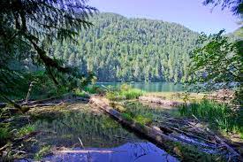 Images & pictures of nature vancouver wallpaper download 81 photos. 12 Stunning Natural Attractions On Vancouver Island