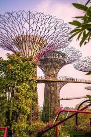 Gardens By The Bay Singapore Places To Travel Singapore Photos Singapore Travel