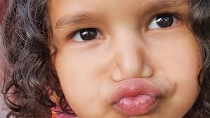 Fundraiser by Jennifer Sebastian : A MEMORIAL BENCH FOR SADIE-DOO