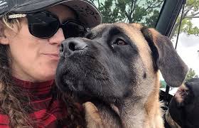 This is Carmah, my 10 month old Kangal Shepherd cross Saint Bernard, she is  the love of my life ❤️