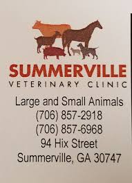 Check spelling or type a new query. Summerville Veterinary Clinic Facebook