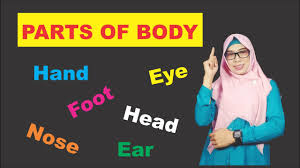 Berilah tanda silang x pada huruf a b c atau d pada jawaban yang benar. Parts Of Body Bahasa Inggris Sd Contoh Arti Soal Youtube