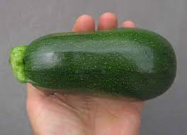 Is flaminio squash like zucchini. Happy Acres Blog Life In The Slow Lane Page 28