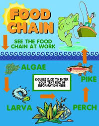 Marine Biology Science Fair Projects Make A Science Fair Project Poster Ideas Ocean Marine Food Chain Ocean Science Project For In 2020 Science Projects For Kids Science Fair Projects Science Fair