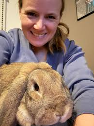 What breed is my rabbit saoirse?