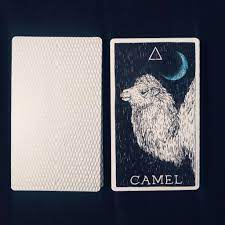 Nostalgia, reconnecting with people from the past, harmony, themes of your 6 of cups overview. Today S One Card Draw Tarot