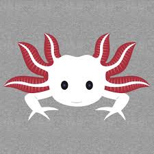 The two hour block was broken up. 16 Axolotl Ideas Axolotl Axolotl Cute Drawings